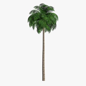 Palm Tree 03 (Low Poly)