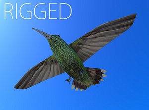 Maya rigged humming bird