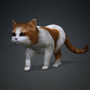 Cat-A1 3D