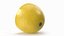 Fetta di limone