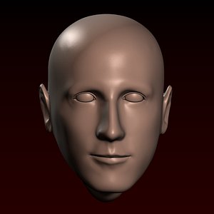 3D model Male head 27