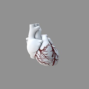 3D White Heart Red Veins