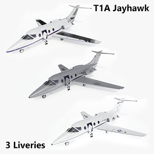 USAF T-1A Jayhawk  Raytheon Beechjet with 3 Liveries