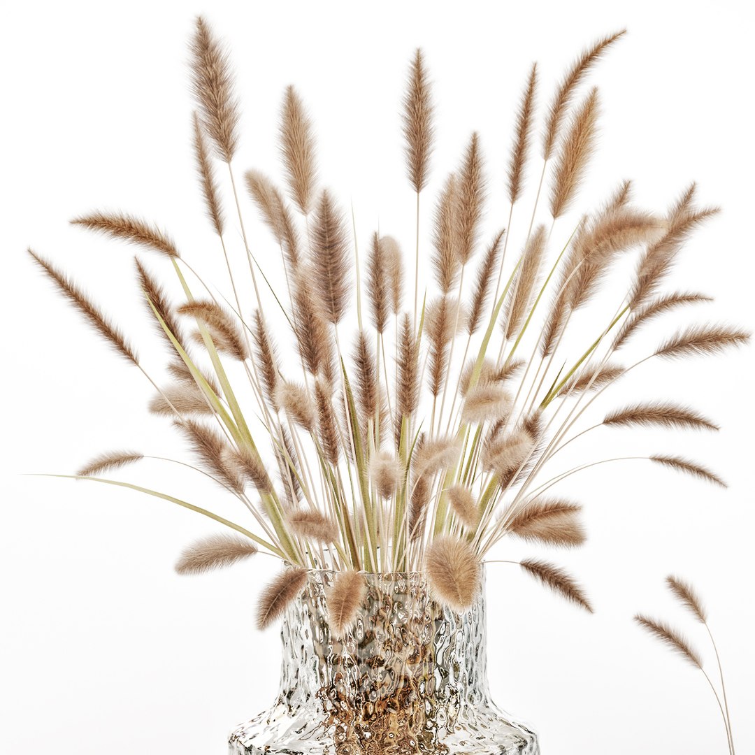 3D model dry flowers glass vase https://p.turbosquid.com/ts-thumb/kg/2ak68J/5rtoFkak/big_3/jpg/1591357617/1920x1080/fit_q87/09d012b2d685154b6c9670a77bb5da319f97f3df/big_3.jpg
