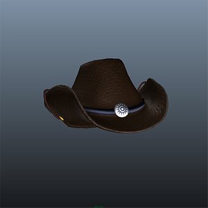 ma cowgirl cow girl