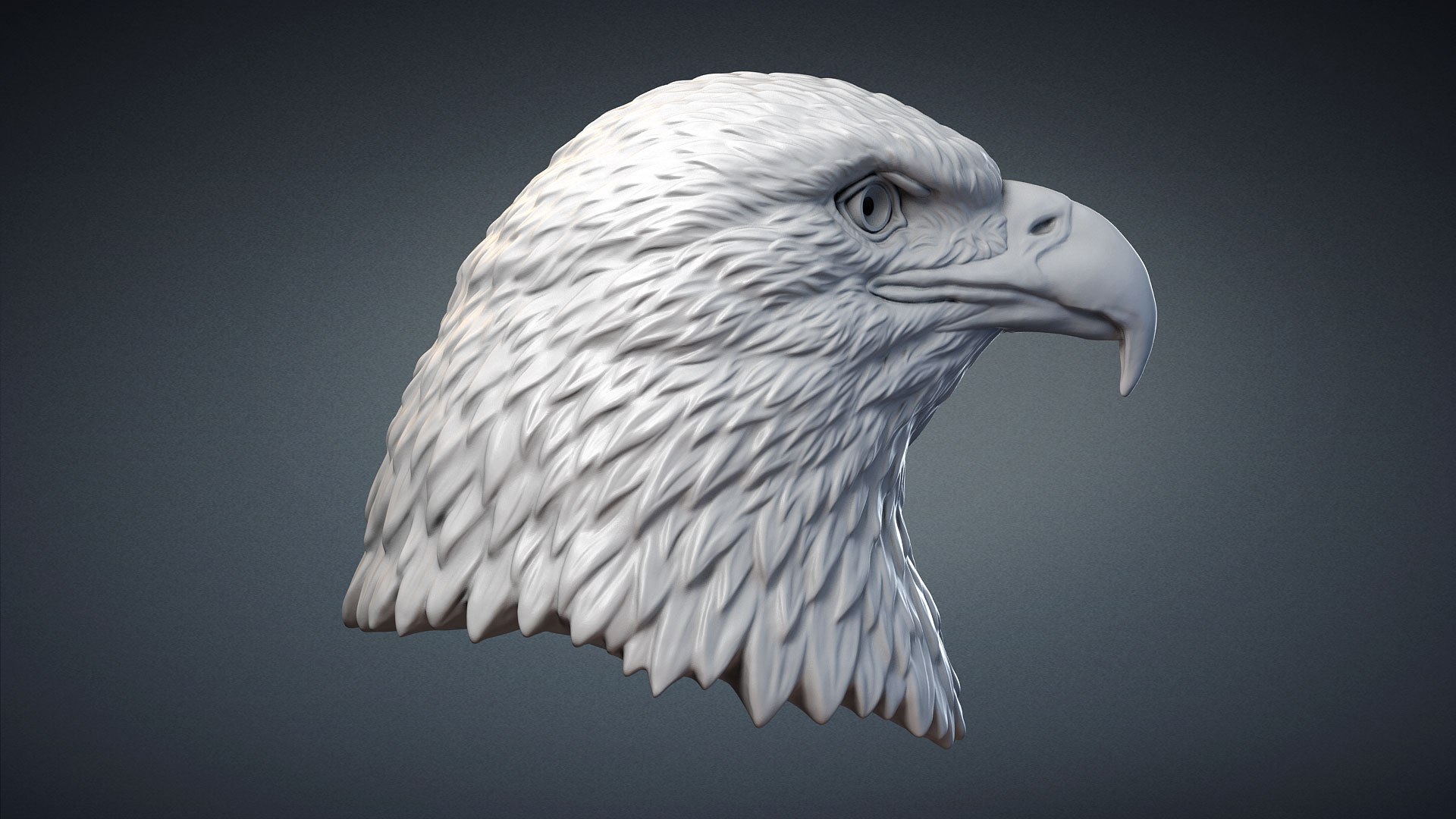 american bald eagle bird 3D model https://p.turbosquid.com/ts-thumb/kg/9O7Bvt/4CesQFT1/baldeagleheadsculpture3dmodel05/jpg/1585570529/1920x1080/fit_q87/40133befffef118be06b2d30e34a0f324128eff2/baldeagleheadsculpture3dmodel05.jpg