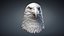Bald Eagle Head Sculpture