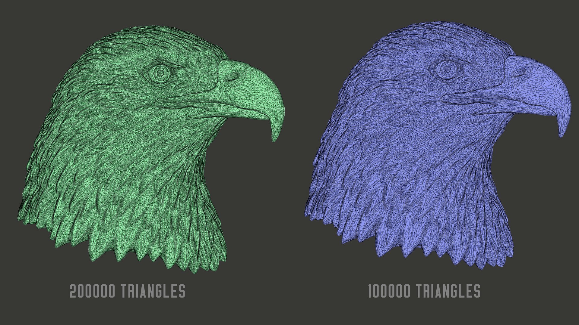 American Bald Eagle Bird 3D Model - TurboSquid 1533028