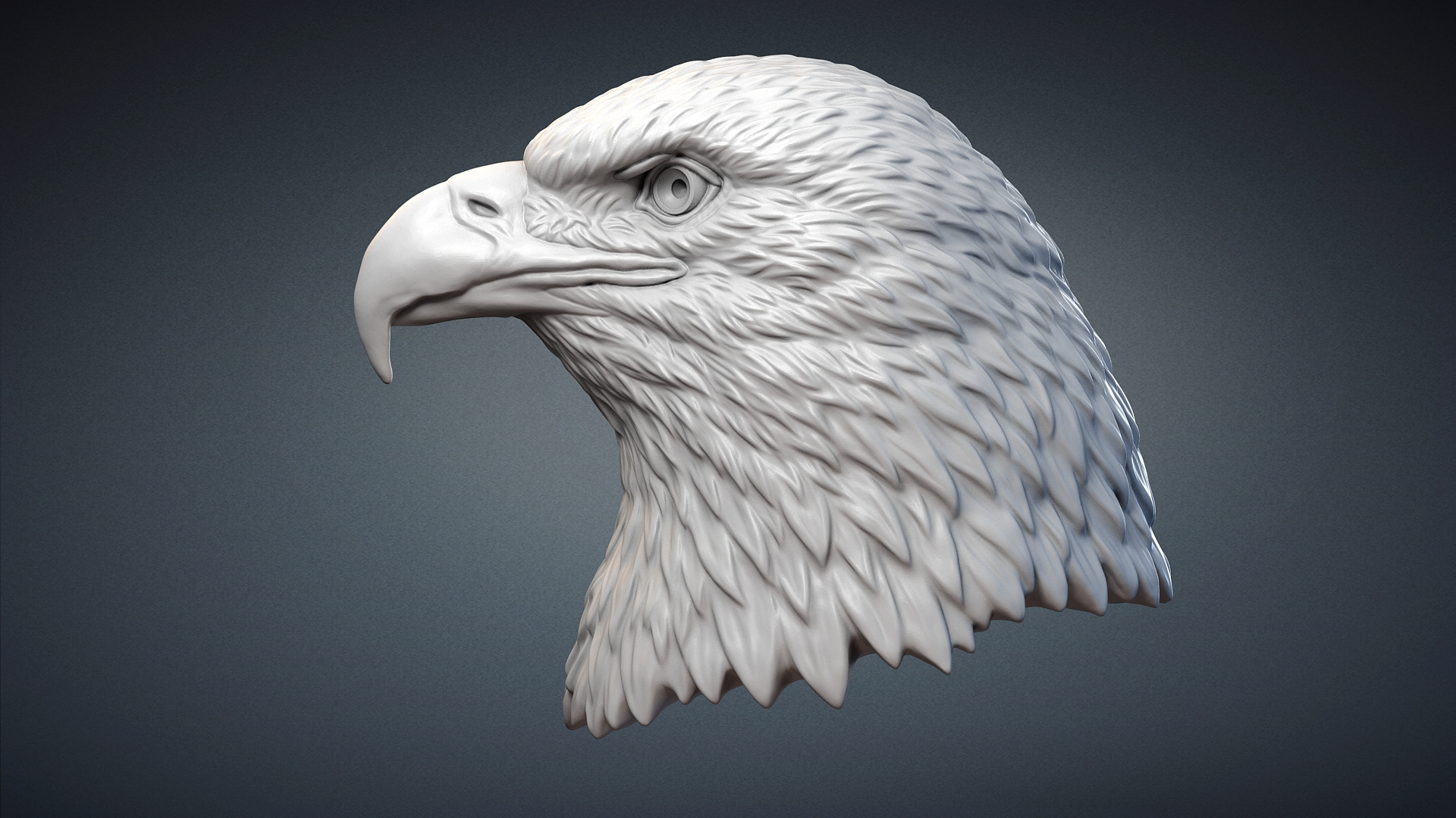 american bald eagle bird 3D model https://p.turbosquid.com/ts-thumb/kg/9O7Bvt/a28113fh/01/jpg/1591187707/1920x1080/turn_fit_q99/14f499fb2b41649b5fbab2f2f2555399f6cc980a/01-1.jpg