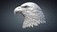 american bald eagle bird 3D model