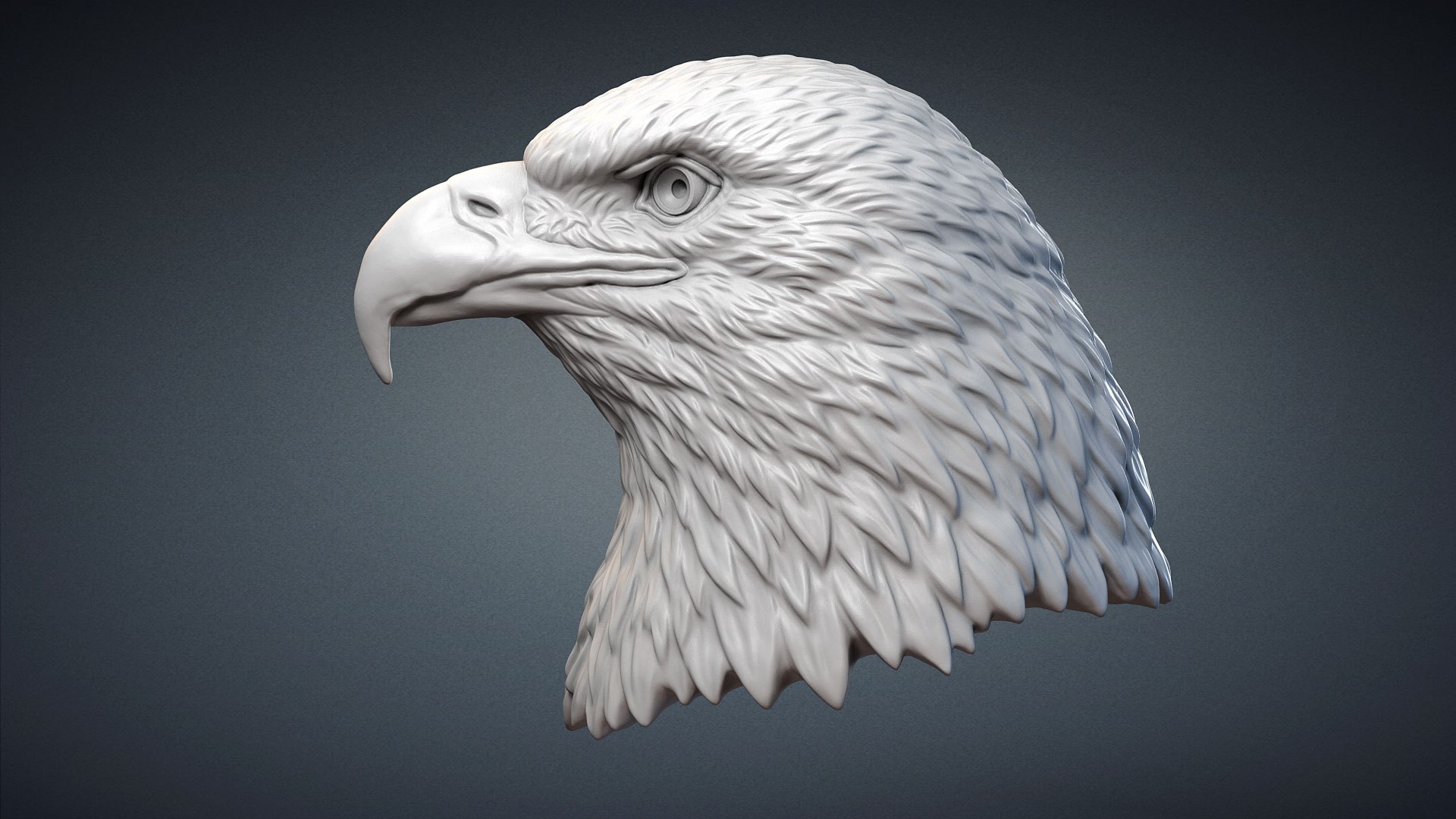 american bald eagle bird 3D model https://p.turbosquid.com/ts-thumb/kg/9O7Bvt/cSxULwKj/baldeagleheadsculpture3dmodel01/jpg/1585570529/1920x1080/fit_q87/952ea8f41f4363b5564499aa03c3475f37cb8fb5/baldeagleheadsculpture3dmodel01.jpg