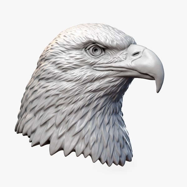 modelo 3d Escultura de cabeza de águila calva - TurboSquid 1533028