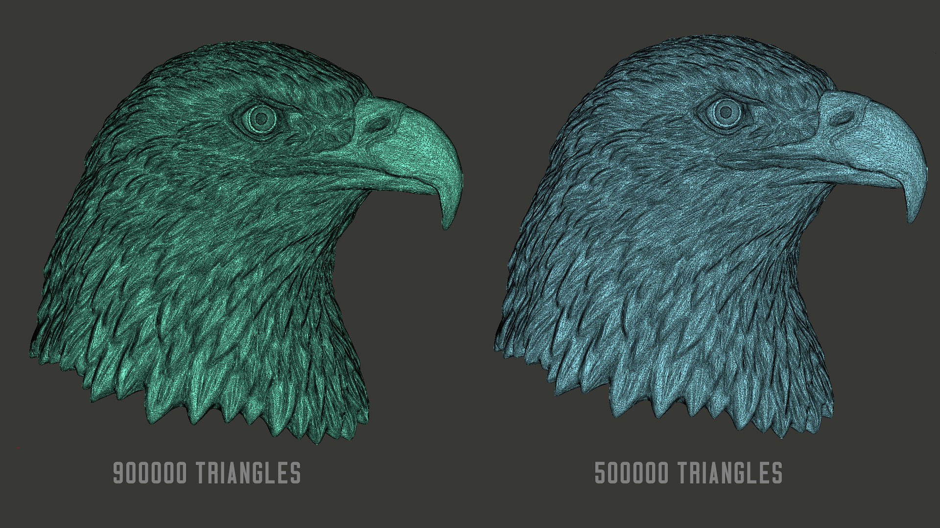 Bald Eagle head sculpture 3d model :: Behance