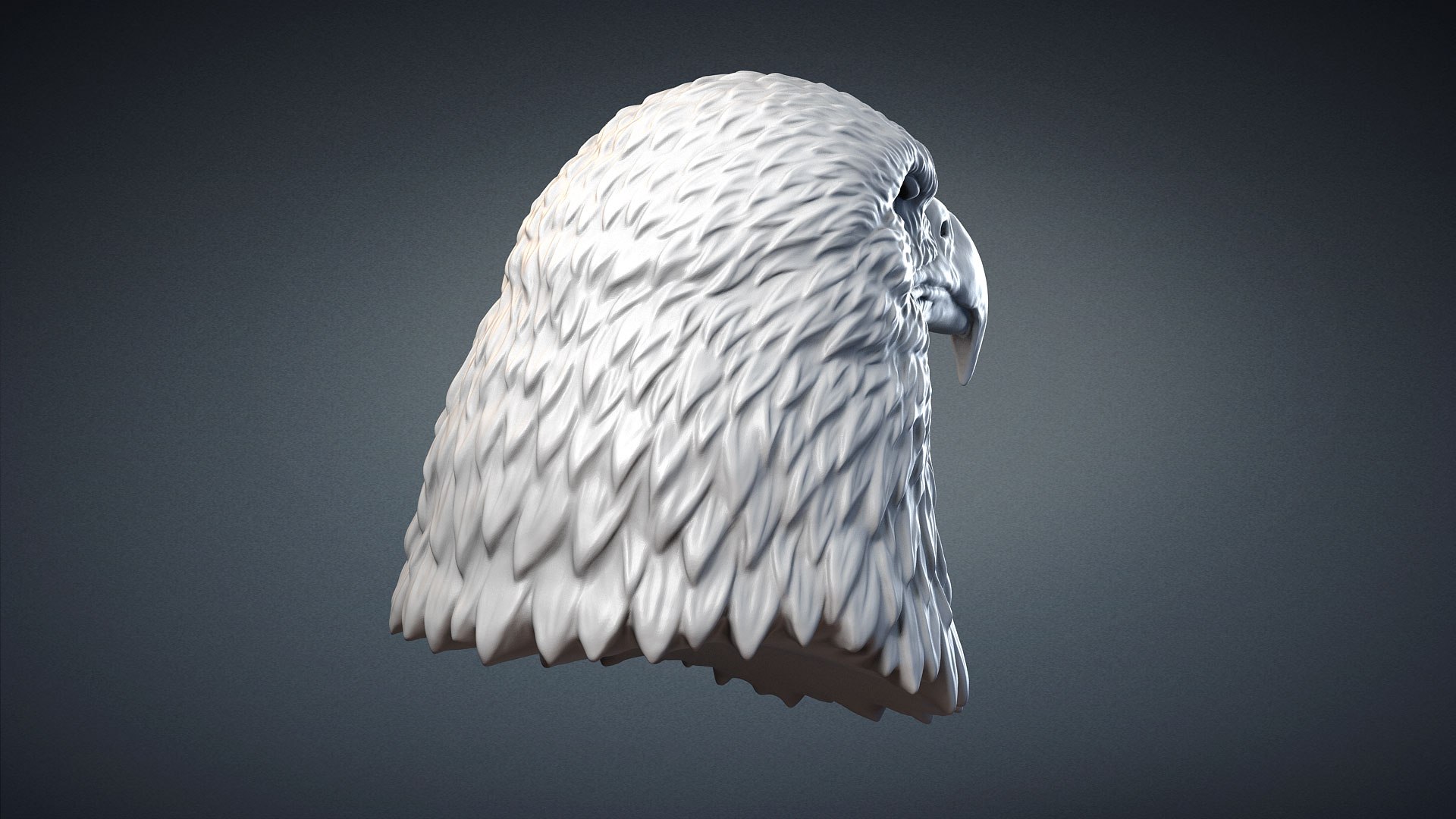 american bald eagle bird 3D model https://p.turbosquid.com/ts-thumb/kg/9O7Bvt/yyd4N6lt/baldeagleheadsculpture3dmodel06/jpg/1585570529/1920x1080/fit_q87/393baca3b6355bf7e804c2cf47e017f4609081cb/baldeagleheadsculpture3dmodel06.jpg