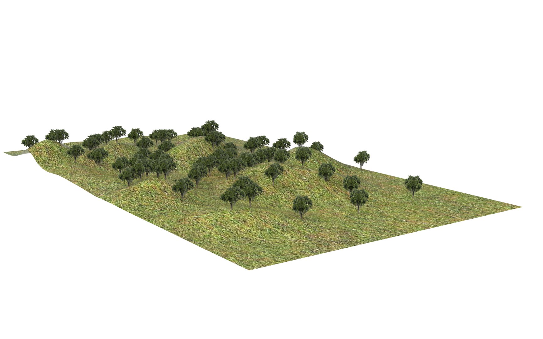 3D Forest 01 model - TurboSquid 2172872