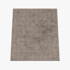 Carpet Rug
