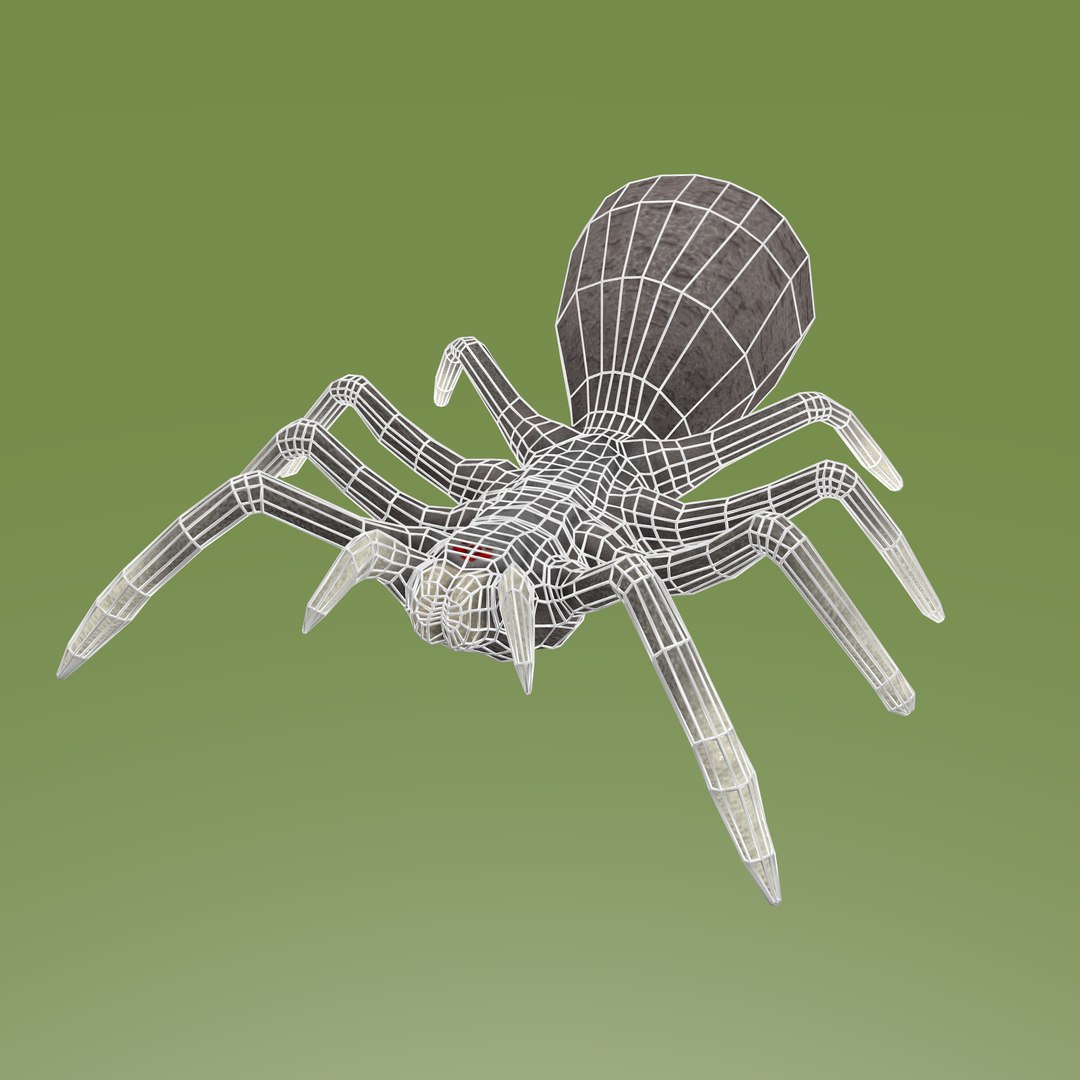 3D Spider - TurboSquid 952653