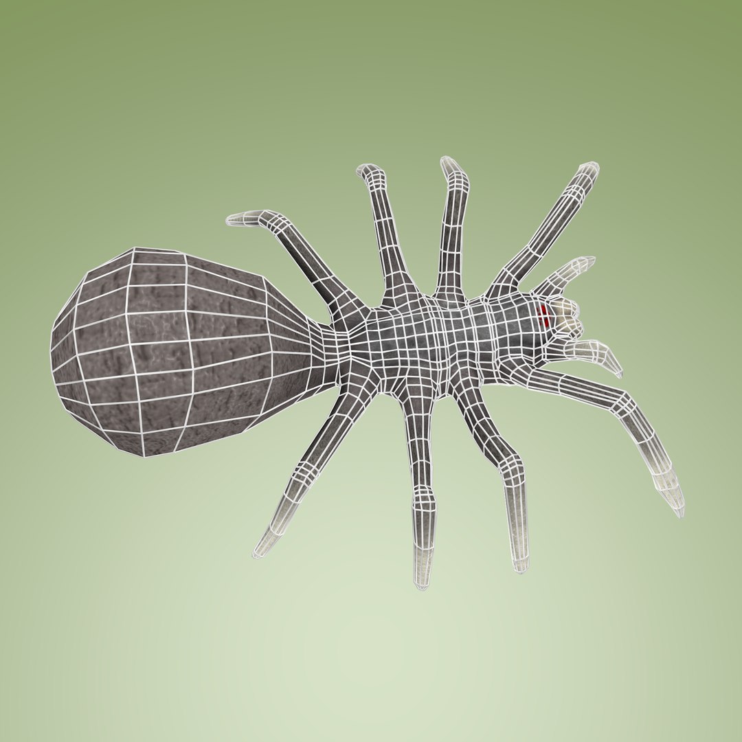 3D Spider - TurboSquid 952653