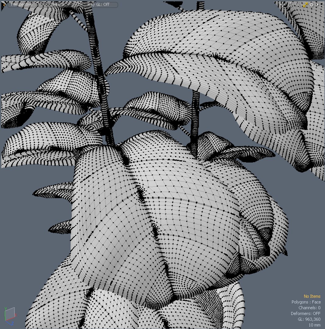 fiddleleaffig plant house 3d x https://p.turbosquid.com/ts-thumb/kg/zlUsOa/sVEXlf9o/house_plants_hpa_fiddleleaffig_03/png/1455014586/1920x1080/fit_q87/2d5e22e7e028f858a862265d2c76e87007260ebe/house_plants_hpa_fiddleleaffig_03.jpg
