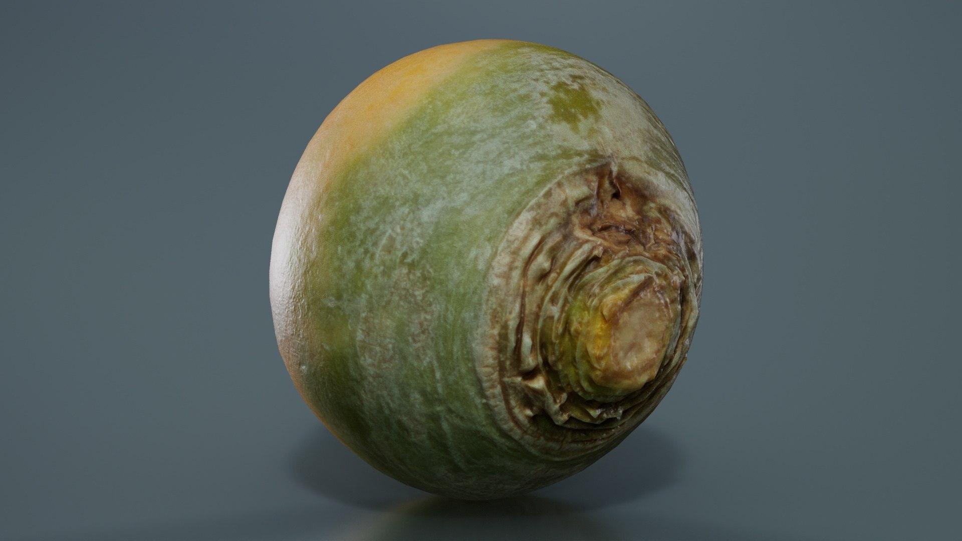 Yellow Turnip Remastered 3D https://p.turbosquid.com/ts-thumb/kh/BTaw31/uD/yellow_turnip_04/jpg/1740394481/1920x1080/fit_q87/c8d2ac4e520f9114fe555ae5f5b66790aadcc23d/yellow_turnip_04.jpg