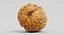 3D walnut shell