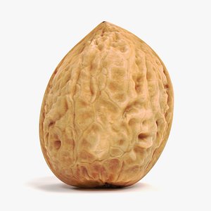 3D walnut shell