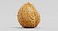3D walnut shell