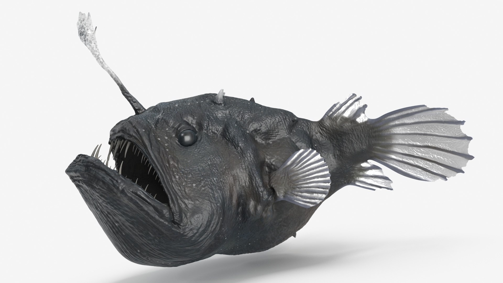 Anglerfish Rigged For Maya 3D Model - TurboSquid 2348887