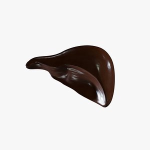 Low and High Poly Liver model