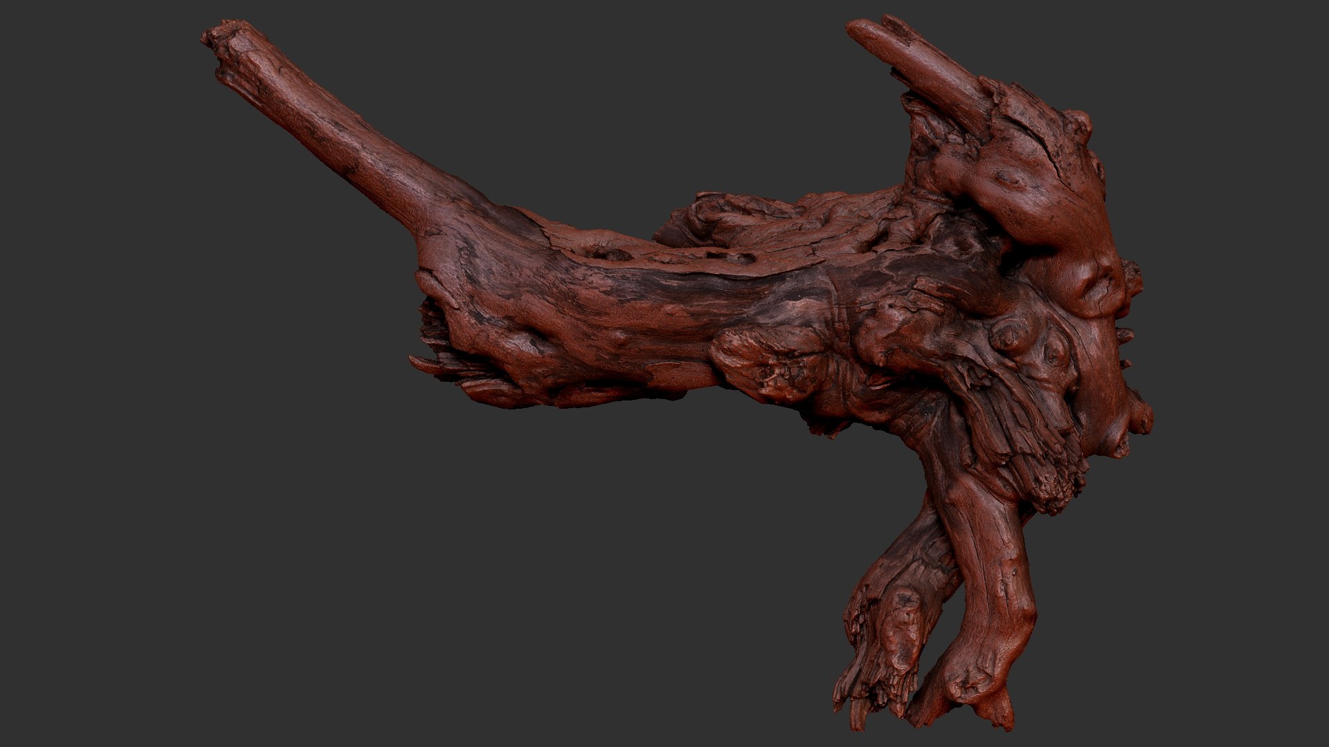 Tree Root 3D Scan 3D model https://p.turbosquid.com/ts-thumb/kh/Vx5DT3/20/scr18/jpg/1698754267/1920x1080/fit_q87/d2e5e0615dba8832e299b1e5c6894f31f4e50b1b/scr18.jpg