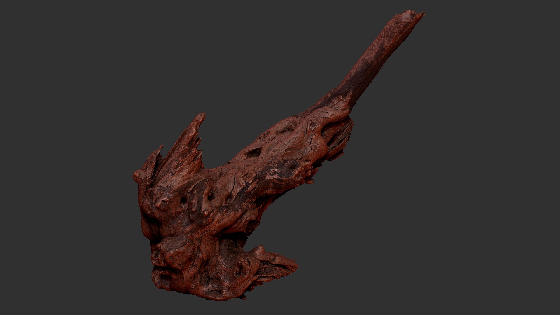 Tree Root 3D Scan 3D model https://p.turbosquid.com/ts-thumb/kh/Vx5DT3/5k/scr20/jpg/1698754268/1920x1080/fit_q87/8f534c8338636173912d8b59acab12522f2a9a92/scr20.jpg