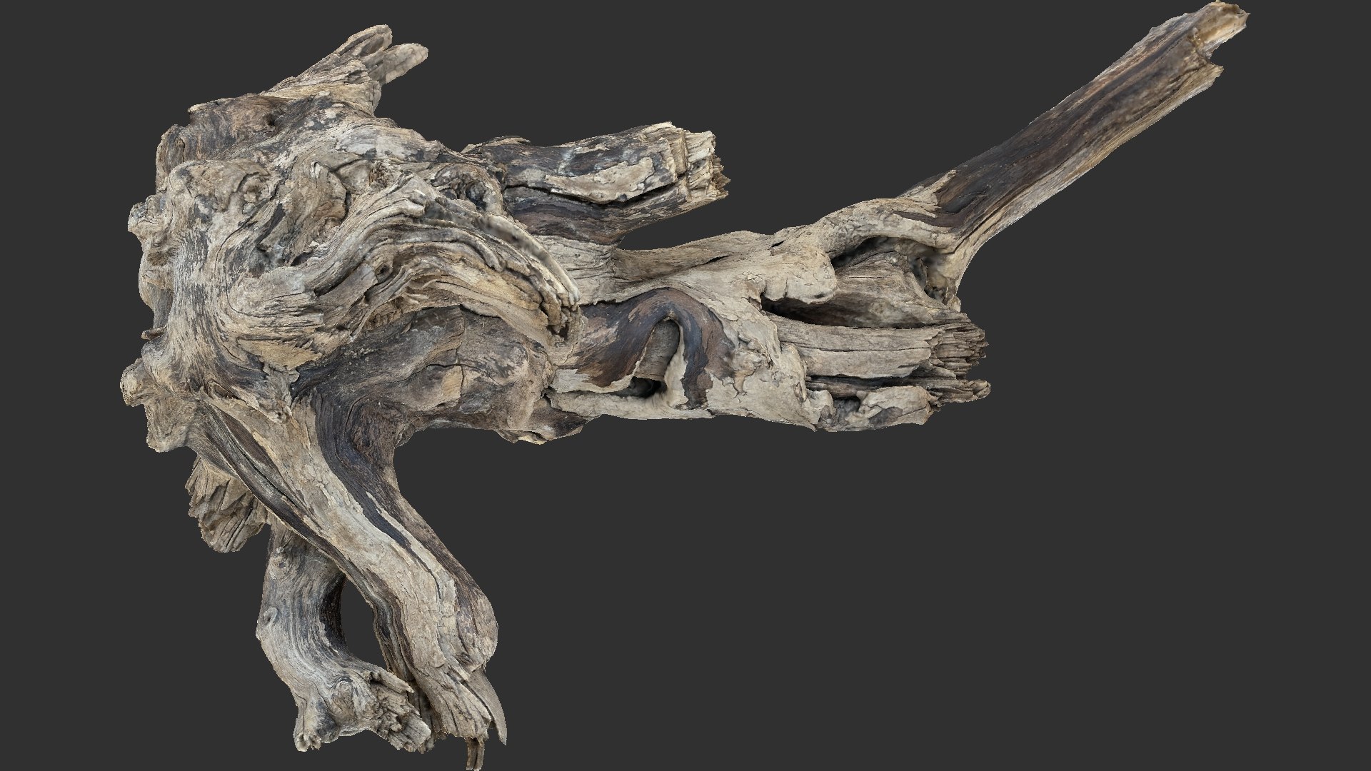 Tree Root 3D Scan 3D model https://p.turbosquid.com/ts-thumb/kh/Vx5DT3/5r/scr15/jpg/1698754264/1920x1080/fit_q87/516271619e890be8fdea8a0f1e44450b333d0806/scr15.jpg