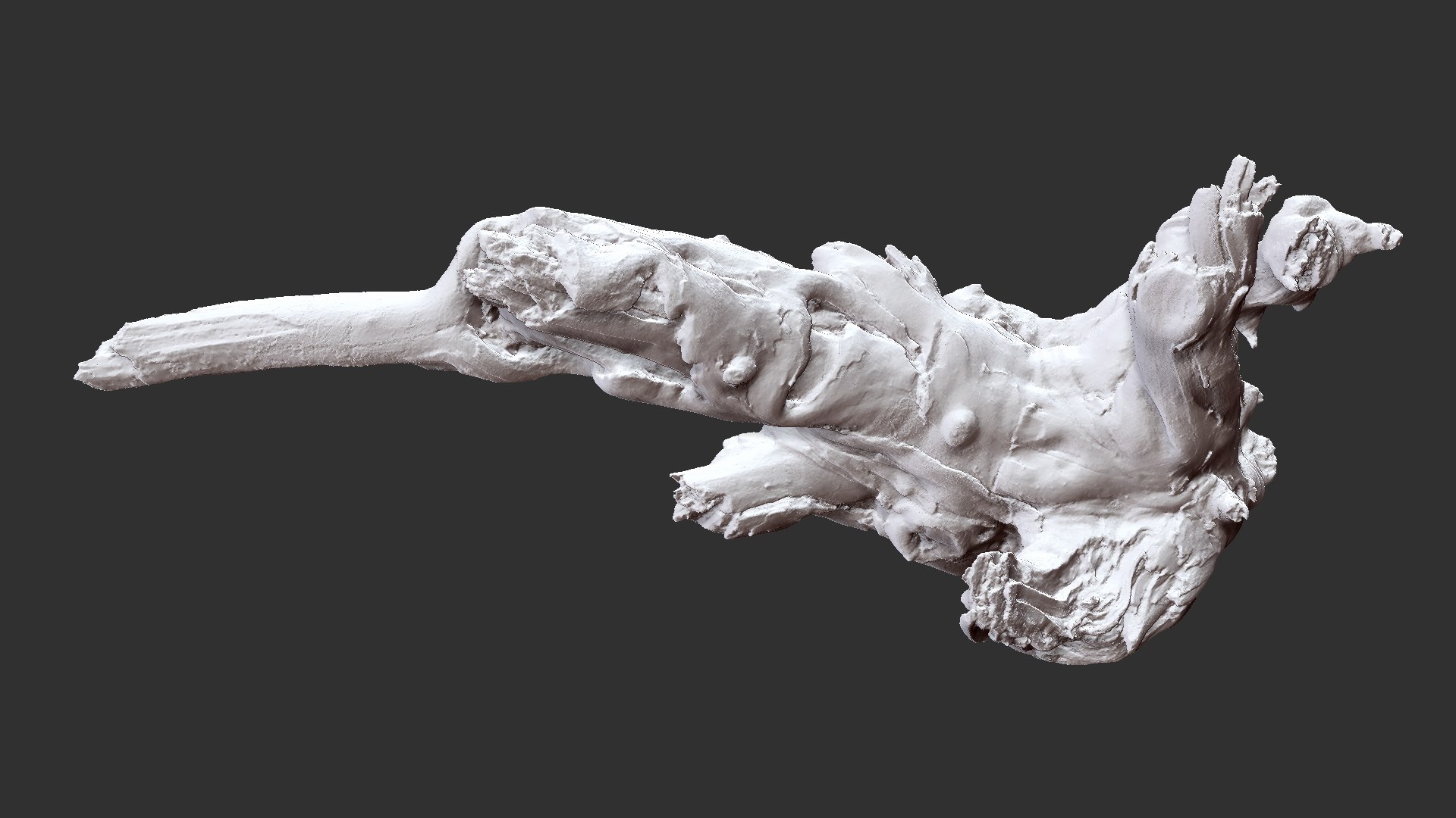 Tree Root 3D Scan 3D model https://p.turbosquid.com/ts-thumb/kh/Vx5DT3/Cp/scr26/jpg/1698754274/1920x1080/fit_q87/ad5c36619ba161cb1827bbaee203a730ca1897ac/scr26.jpg