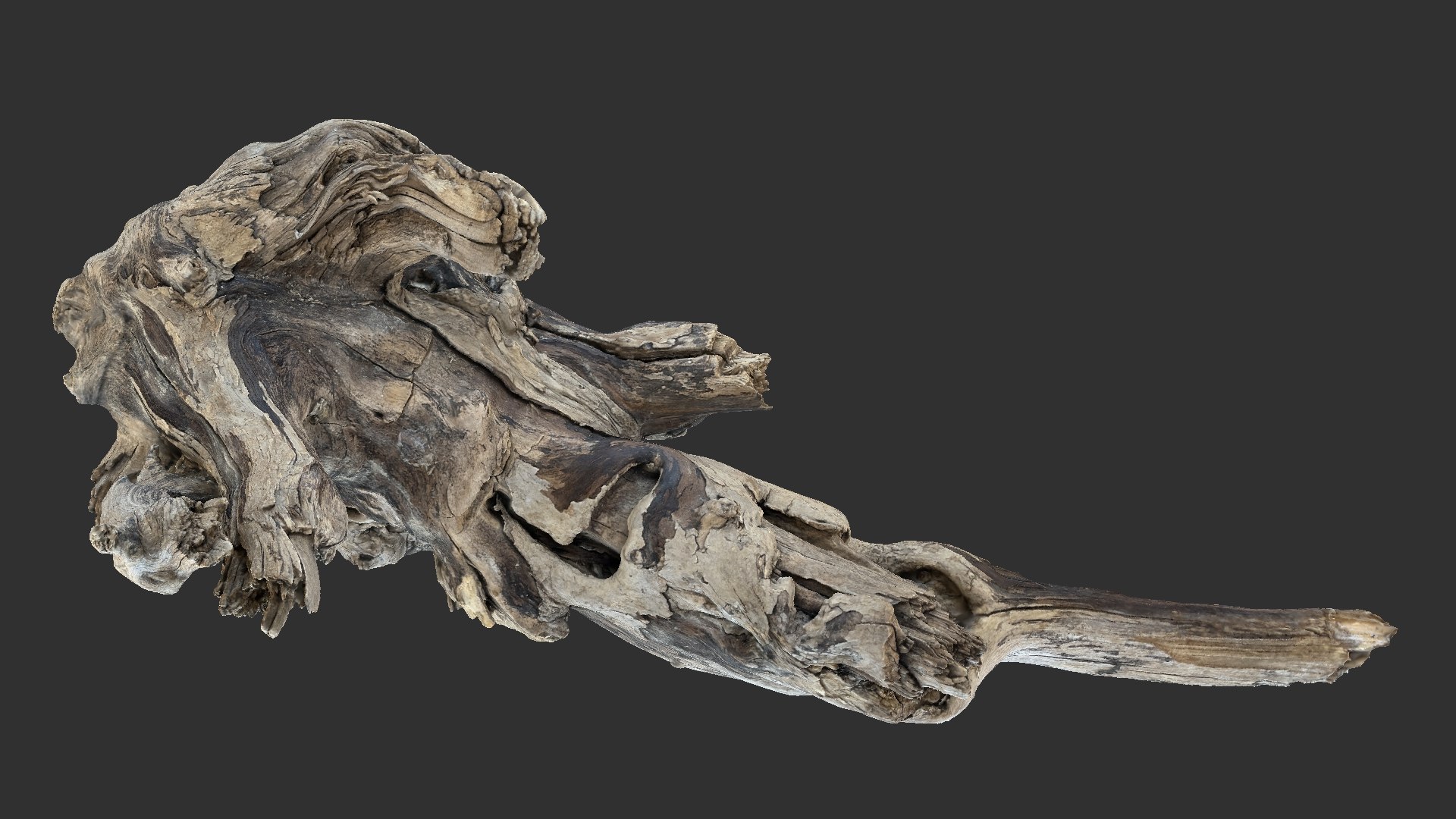 Tree Root 3D Scan 3D model https://p.turbosquid.com/ts-thumb/kh/Vx5DT3/F5/scr14/jpg/1698754264/1920x1080/fit_q87/db2f6e28c3d3d5c8520c141e3046af1ede479f5a/scr14.jpg