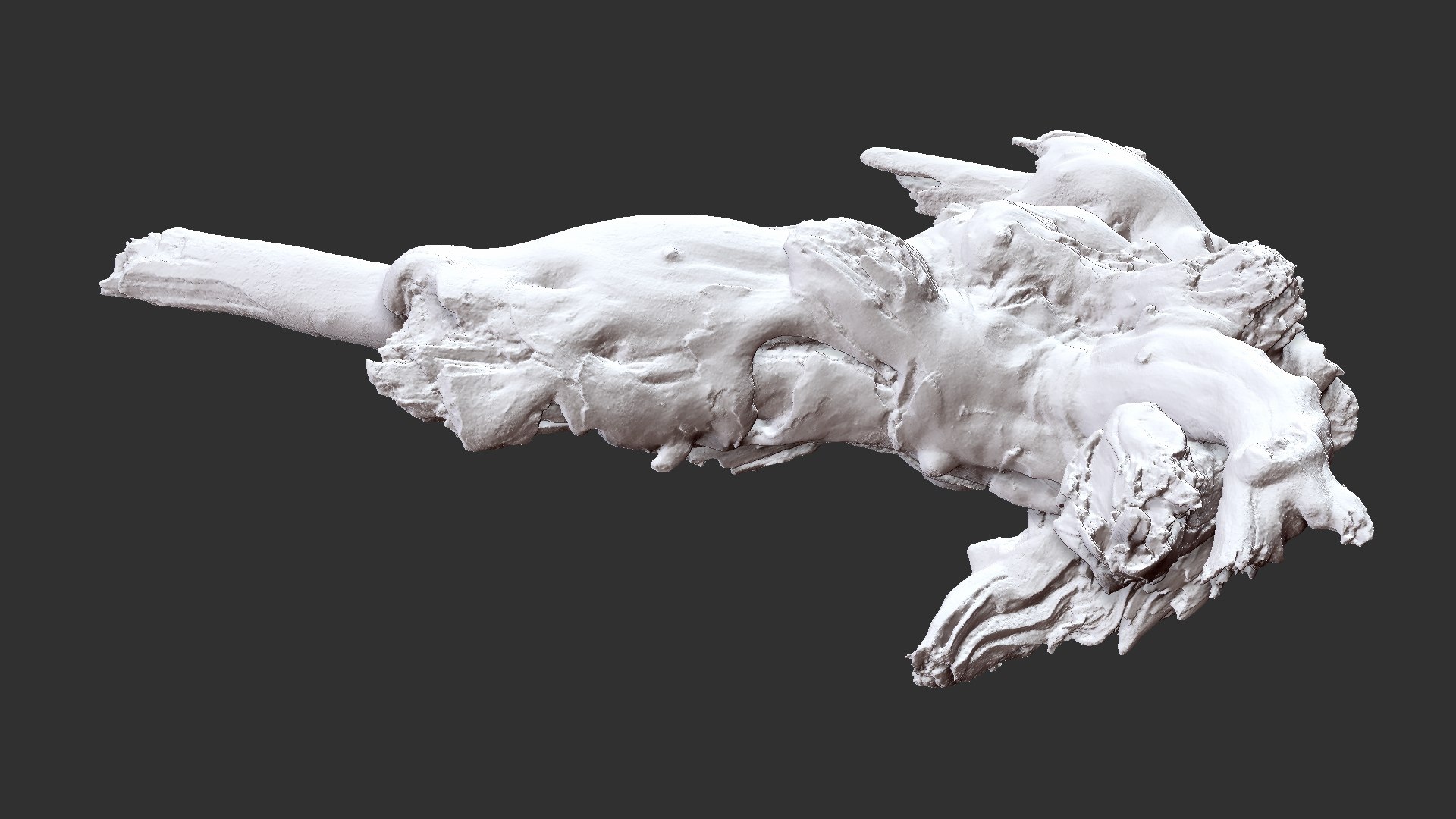 Tree Root 3D Scan 3D model https://p.turbosquid.com/ts-thumb/kh/Vx5DT3/FH/scr25/jpg/1698754272/1920x1080/fit_q87/52c1060ea88674c8ac870841d098c3b6bbef1528/scr25.jpg