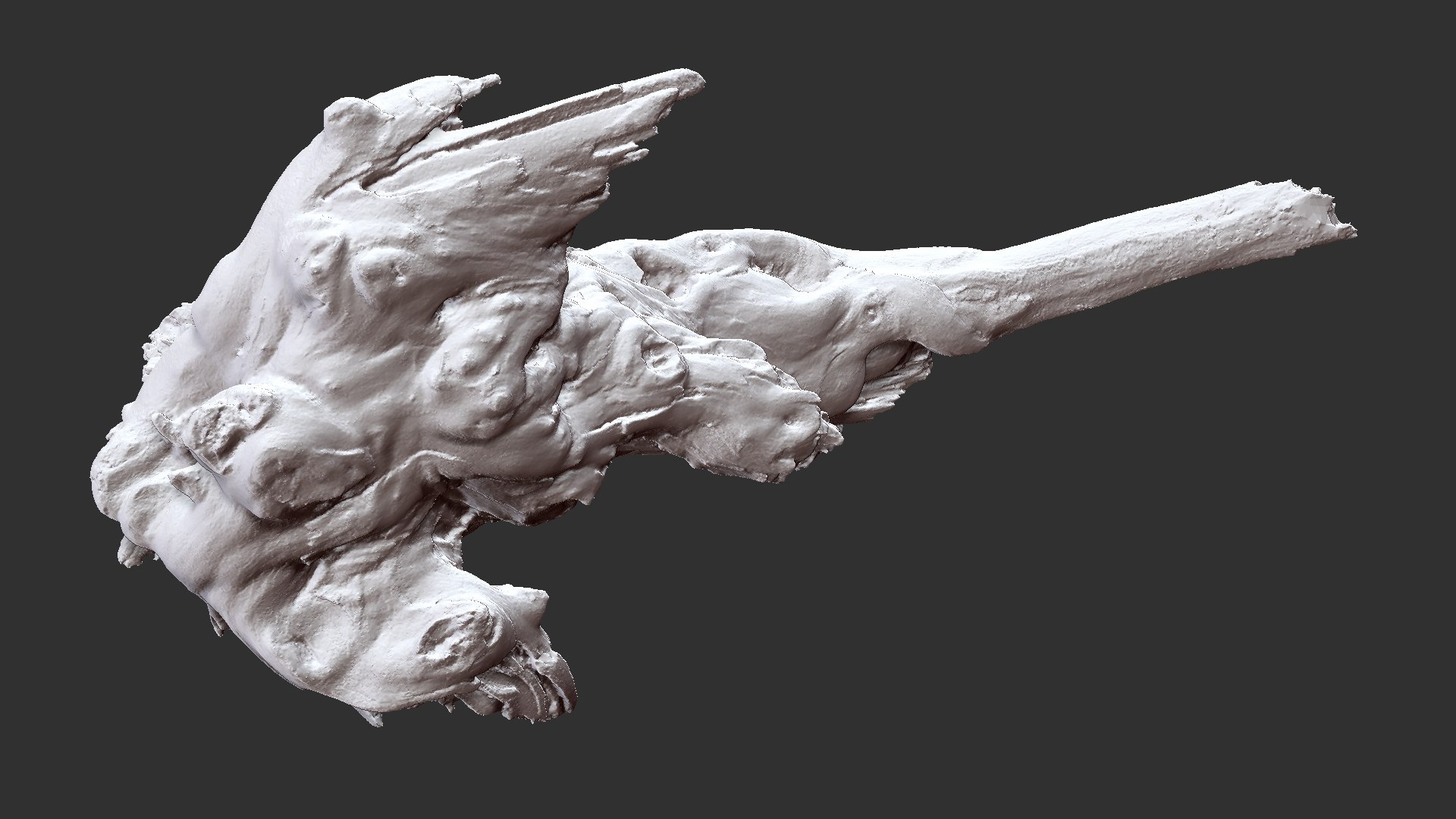 Tree Root 3D Scan 3D model https://p.turbosquid.com/ts-thumb/kh/Vx5DT3/Hi/scr24/jpg/1698754273/1920x1080/fit_q87/cc57280655d72827caecd631e69ee561d4617b6d/scr24.jpg