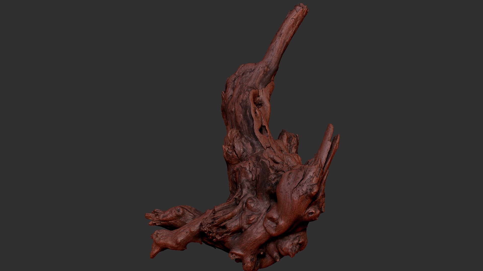 Tree Root 3D Scan 3D model https://p.turbosquid.com/ts-thumb/kh/Vx5DT3/PF/scr21/jpg/1698754269/1920x1080/fit_q87/c0af873f269a3a8bd677156a2bce357f670bbea7/scr21.jpg