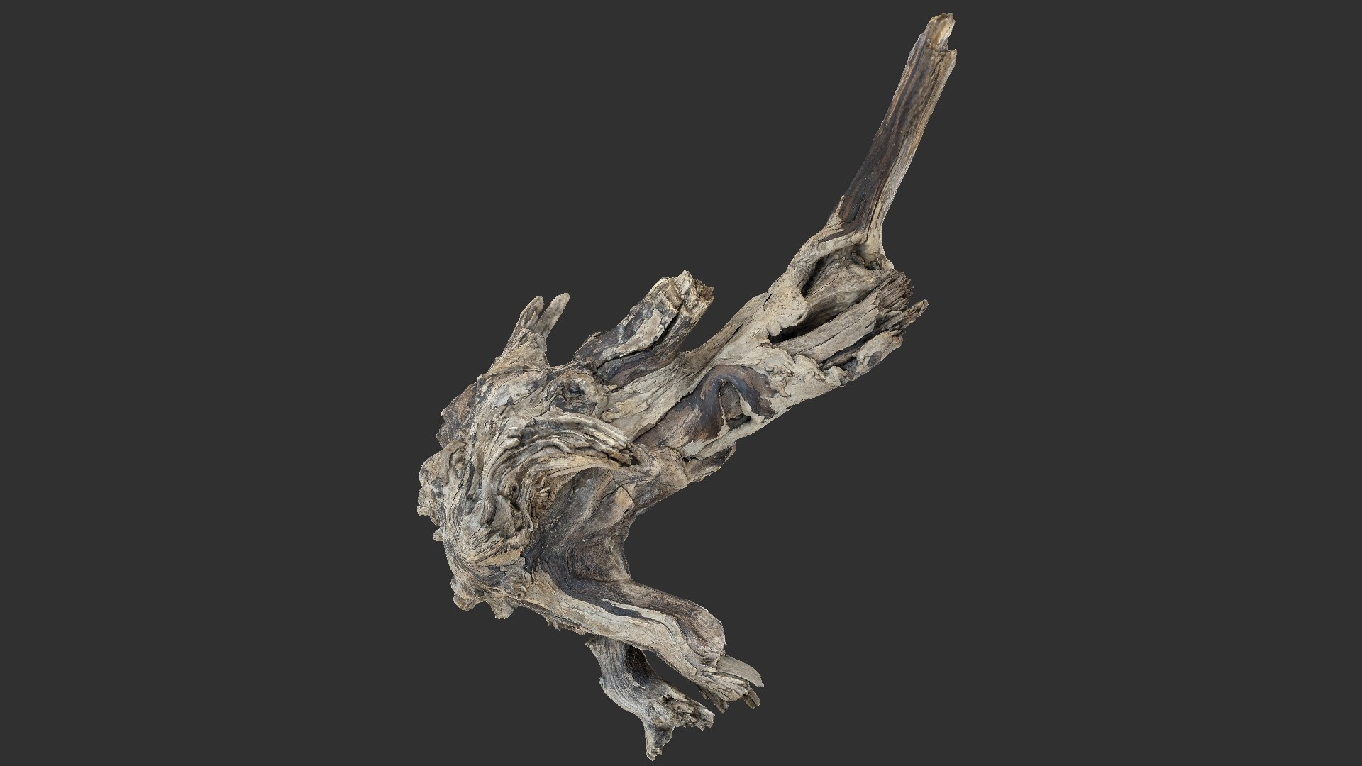 Tree Root 3D Scan 3D model https://p.turbosquid.com/ts-thumb/kh/Vx5DT3/VX/scr16/jpg/1698754265/1920x1080/fit_q87/a48e66766433c597a45a38459c75e9947764d524/scr16.jpg