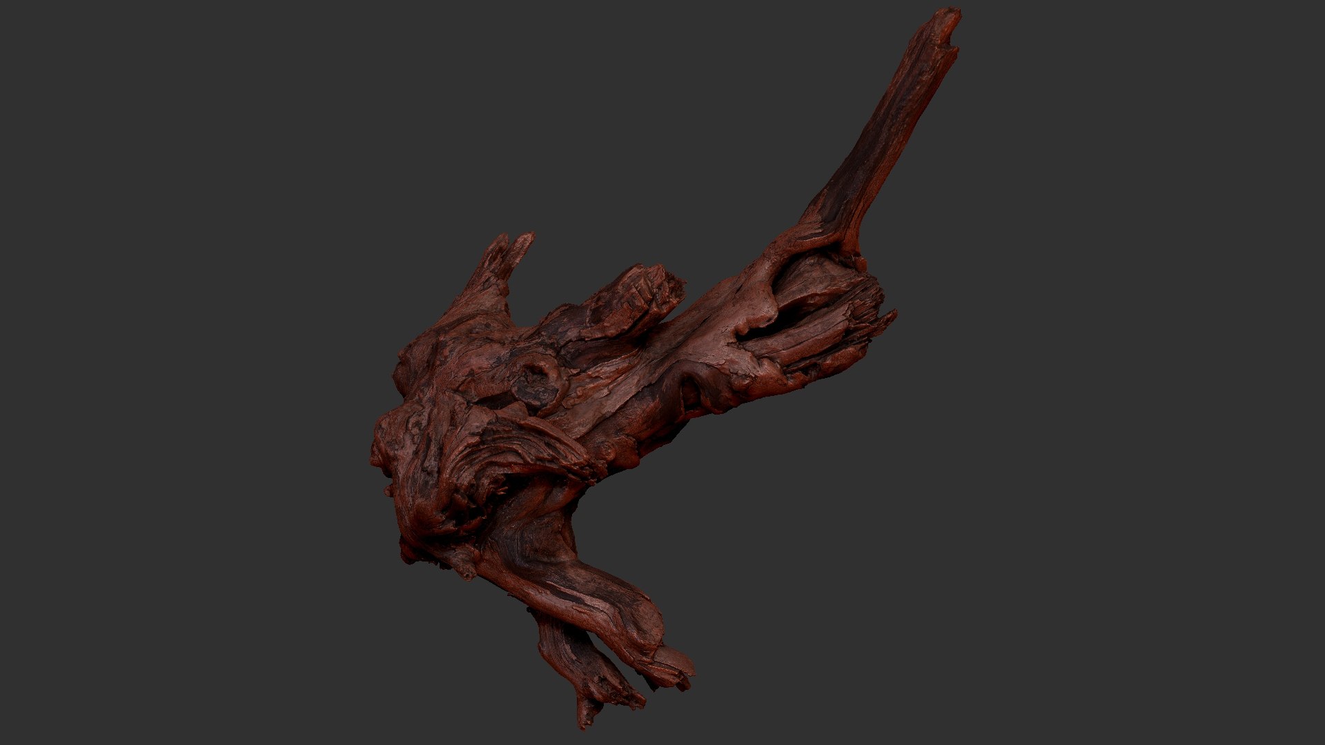 Tree Root 3D Scan 3D model https://p.turbosquid.com/ts-thumb/kh/Vx5DT3/YW/scr19/jpg/1698754268/1920x1080/fit_q87/fbe780c0c733e4cc0402a8abda5e6e5cc92f545e/scr19.jpg