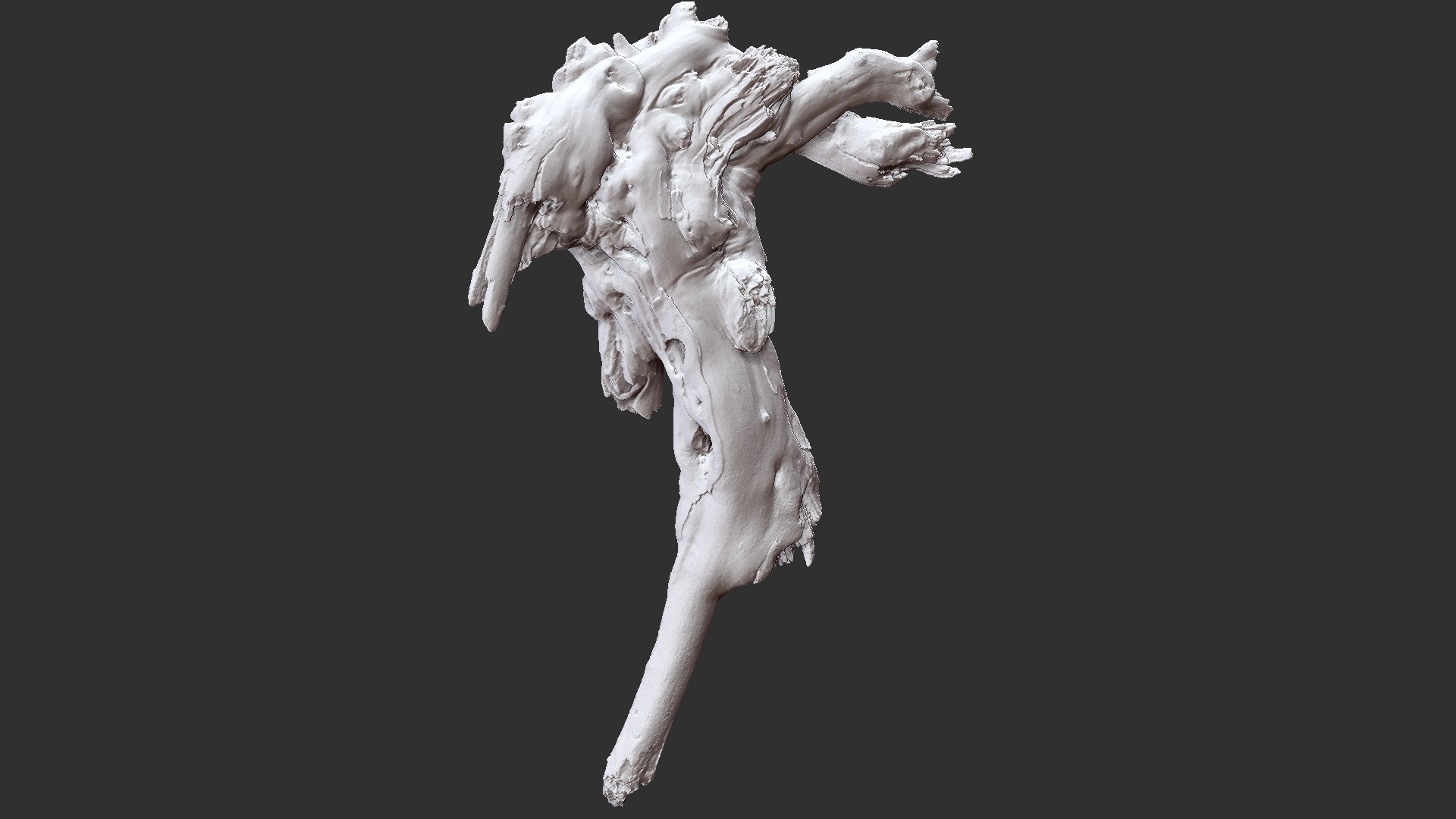 Tree Root 3D Scan 3D model https://p.turbosquid.com/ts-thumb/kh/Vx5DT3/h8/scr28/jpg/1698754275/1920x1080/fit_q87/9e52c0d494f54f17e409eecb783bada1c4451bae/scr28.jpg