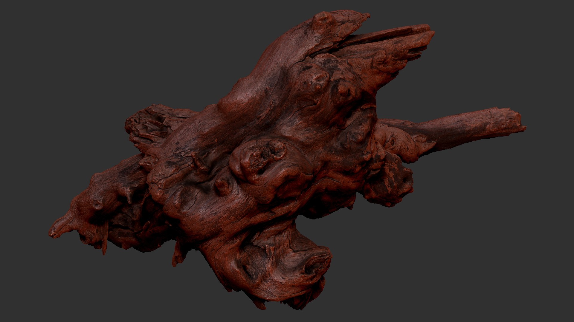 Tree Root 3D Scan 3D model https://p.turbosquid.com/ts-thumb/kh/Vx5DT3/jM/scr22/jpg/1698754270/1920x1080/fit_q87/c318df84ab2d850537d81deb1f1260d86b52d016/scr22.jpg