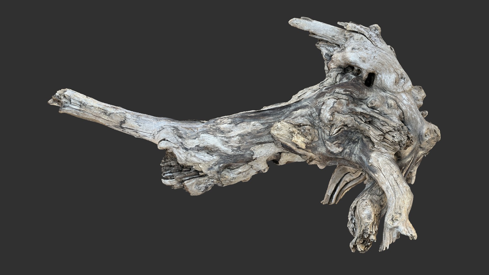 Tree Root 3D Scan 3D model https://p.turbosquid.com/ts-thumb/kh/Vx5DT3/oa/scr01/jpg/1698754282/1920x1080/fit_q87/b5a32267ca580b43ec7668a9ac2a2b2243df26e8/scr01.jpg