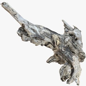Tree root 3d scan highpoly