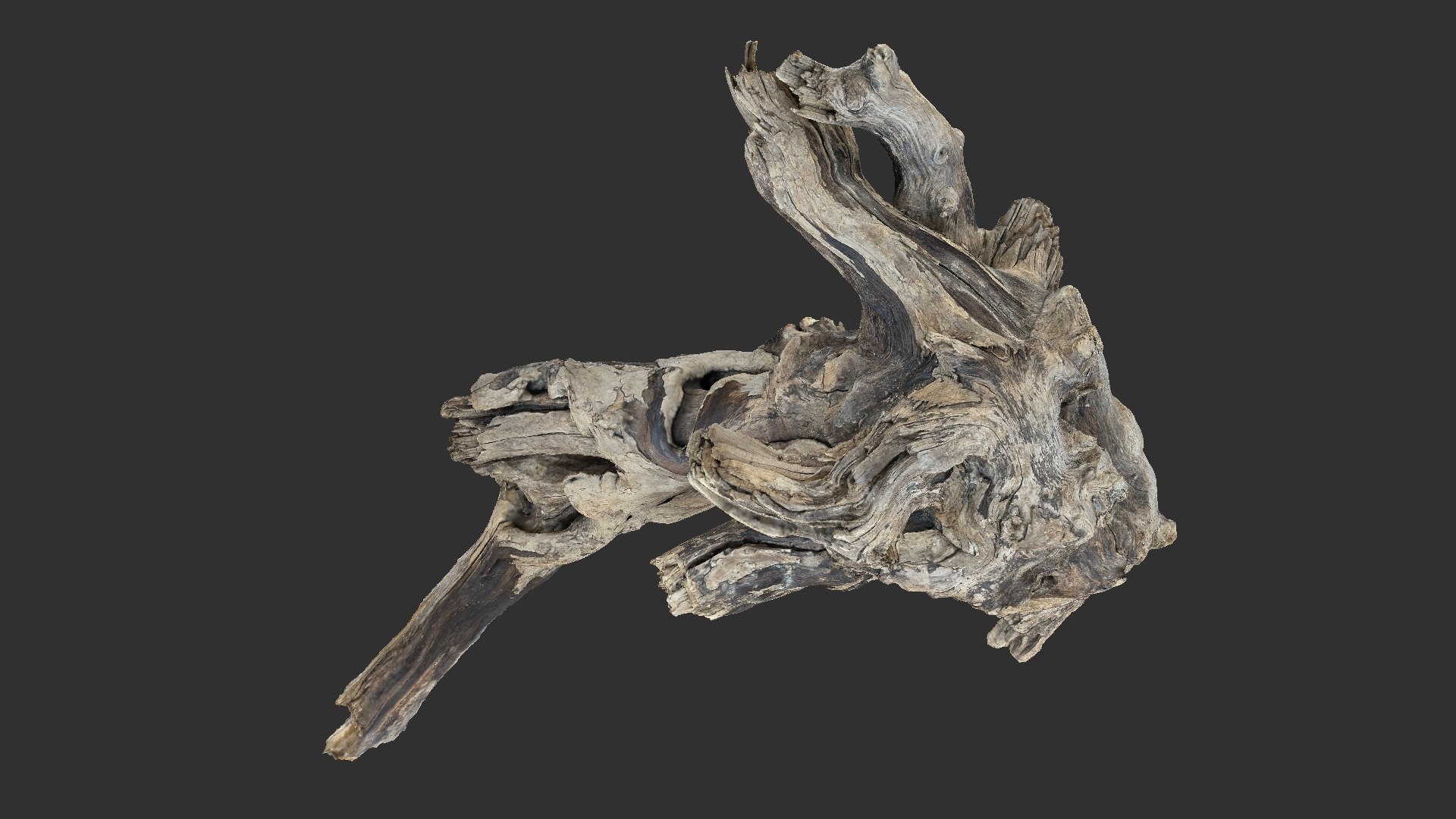 Tree Root 3D Scan 3D model https://p.turbosquid.com/ts-thumb/kh/Vx5DT3/xP/scr04/jpg/1698754283/1920x1080/fit_q87/f0fe77014fd800f0adb939879f0b13c58e6b6443/scr04.jpg