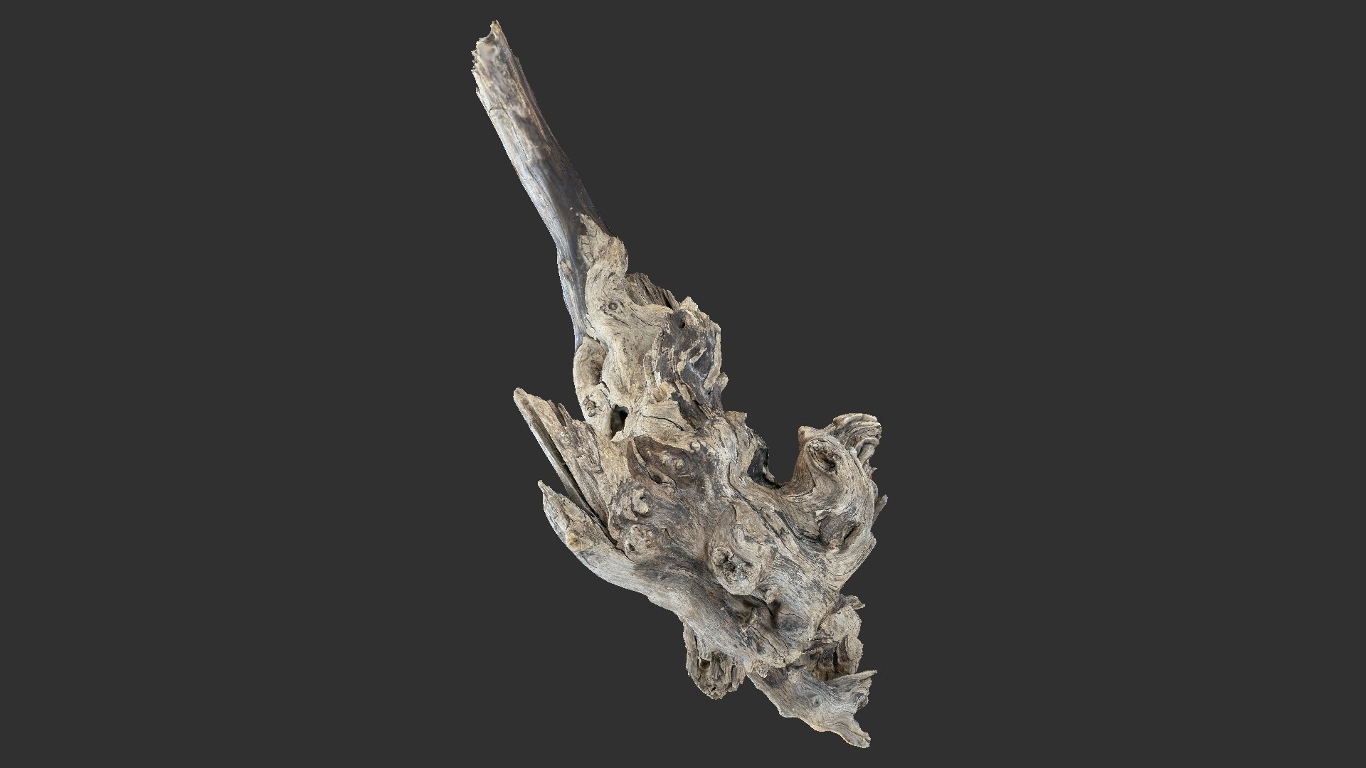 Tree Root 3D Scan 3D model https://p.turbosquid.com/ts-thumb/kh/Vx5DT3/xi/scr12/jpg/1698754262/1920x1080/fit_q87/3325f27afafad11587eac4eb0de5189c32e33947/scr12.jpg