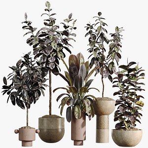 3D AV Indoor Plants Set 486 Rubber Ficus Elastica Abidjan Melany