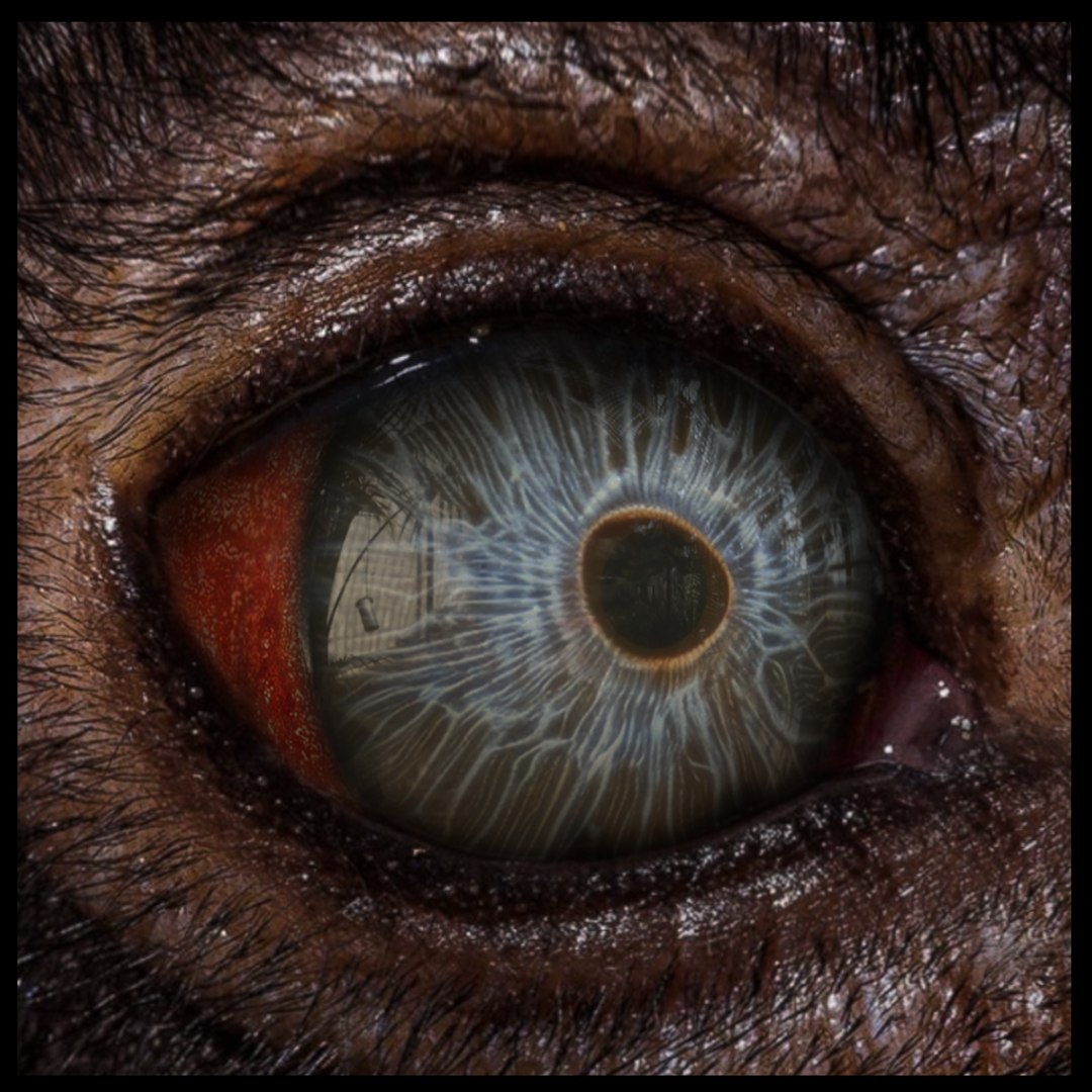 Beast Fantasy Eyes Vol 01 - PBR 3D model https://p.turbosquid.com/ts-thumb/kh/e2cARV/MP/04/png/1726996166/1920x1080/fit_q87/4dc5b8bb1ba4908cadf072cc55a13236fcd83c07/04.jpg