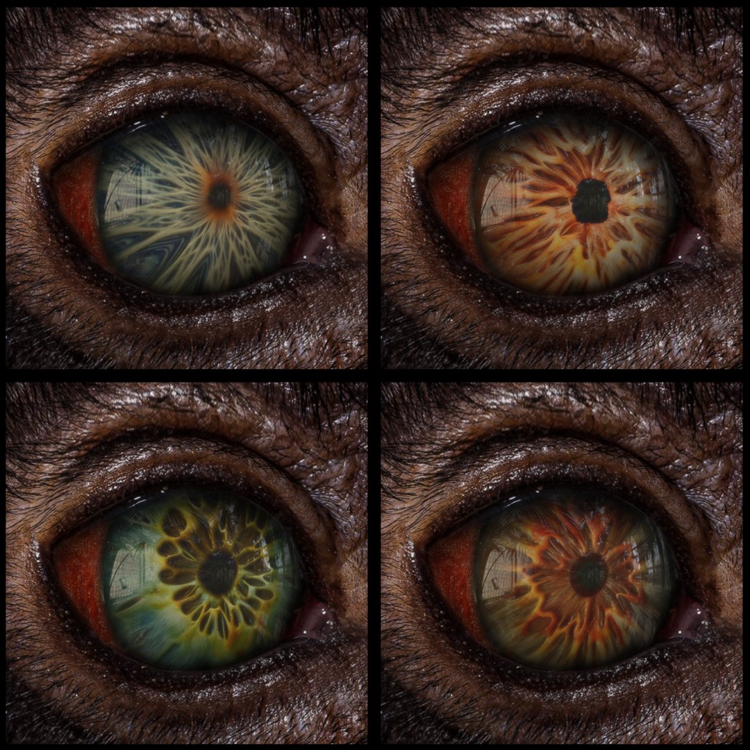 Beast Fantasy Eyes Vol 01 - PBR 3D model https://p.turbosquid.com/ts-thumb/kh/e2cARV/SN/002/png/1726998053/1920x1080/fit_q87/328b90dbbdf595e32319b1a744f484d831fe0636/002.jpg