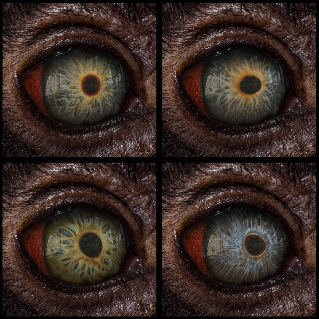 Beast Fantasy Eyes Vol 01 - PBR 3D model https://p.turbosquid.com/ts-thumb/kh/e2cARV/ic/001/png/1726998036/1920x1080/fit_q87/5c5f8c840e759995fbf8ed53c050b397c350eca7/001.jpg