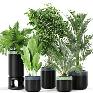 plants 3D model